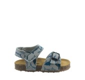 PLAKTON 855659  GRIS