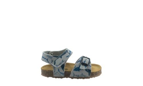 PLAKTON 855659  GRIS