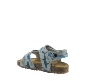 PLAKTON 855659  GRIS