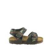 PLAKTON 855659  KAKI