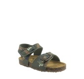 PLAKTON 855659  KAKI