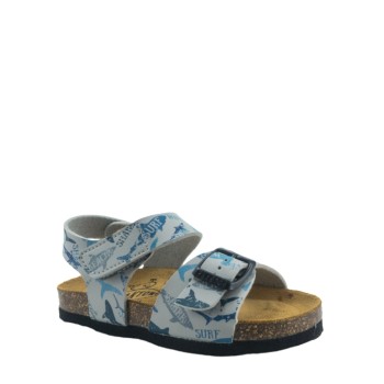 PLAKTON 125659  GRIS
