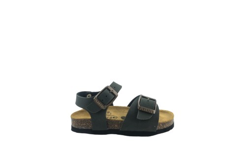 PLAKTON 120053  KAKI