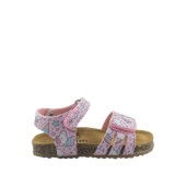 PLAKTON 865517  ROSA