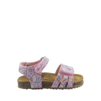 PLAKTON 865517  ROSA