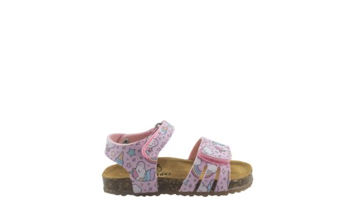 PLAKTON 865517  ROSA