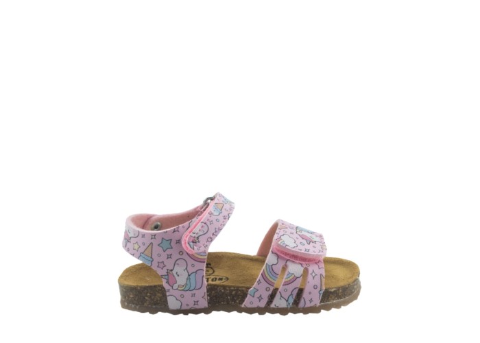 PLAKTON 865517  ROSA