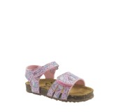 PLAKTON 865517  ROSA
