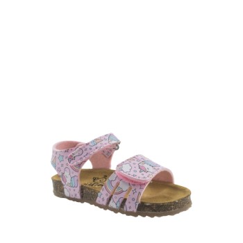 PLAKTON 865517  ROSA