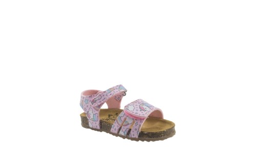 PLAKTON 865517  ROSA