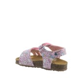 PLAKTON 865517  ROSA