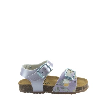 PLAKTON 861407  LILA