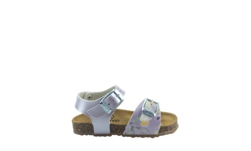 PLAKTON 861407  LILA