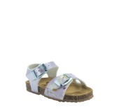 PLAKTON 861407 LILA PLAKTON 861407 LILA