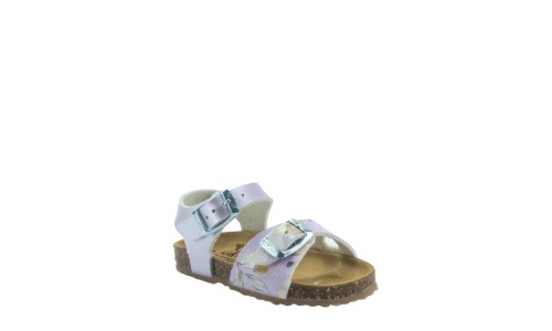 PLAKTON 861407  LILA