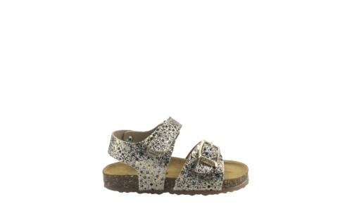 PLAKTON 865936  ORO