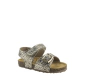 PLAKTON 865936 ORO PLAKTON 865936 ORO