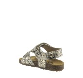 PLAKTON 865936 ORO PLAKTON 865936 ORO