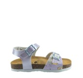 PLAKTON 131407  LILA