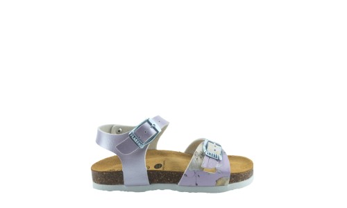 PLAKTON 131407  LILA