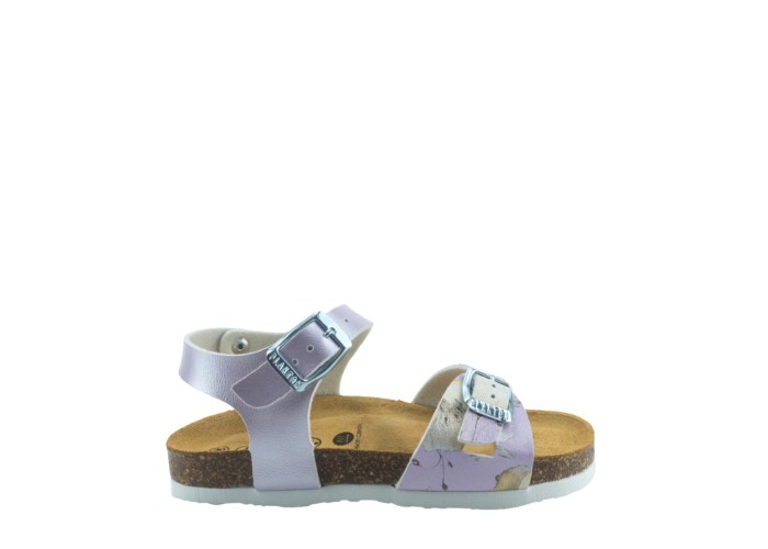 PLAKTON 131407  LILA