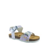 PLAKTON 131407  LILA