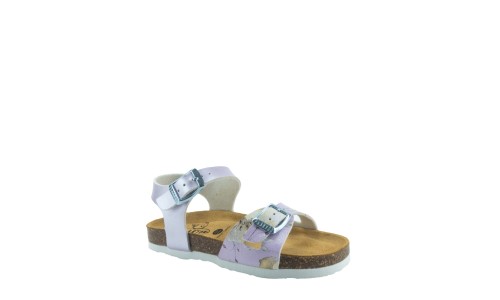 PLAKTON 131407  LILA
