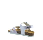 PLAKTON 131407  LILA