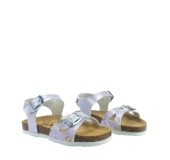 PLAKTON 131407  LILA