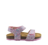 PLAKTON 135448  ROSA