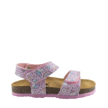 PLAKTON 135448  ROSA