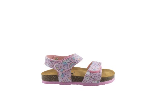 PLAKTON 135448  ROSA
