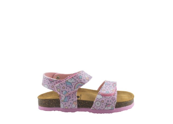PLAKTON 135448  ROSA