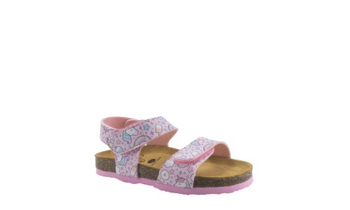 PLAKTON 135448  ROSA