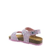 PLAKTON 135448  ROSA
