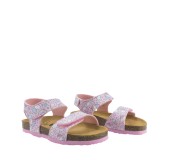 PLAKTON 135448  ROSA