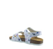 PLAKTON 135663  BLANCO