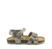 PLAKTON 135637  ORO