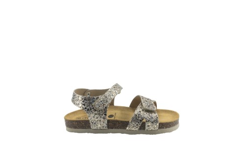 PLAKTON 135637  ORO
