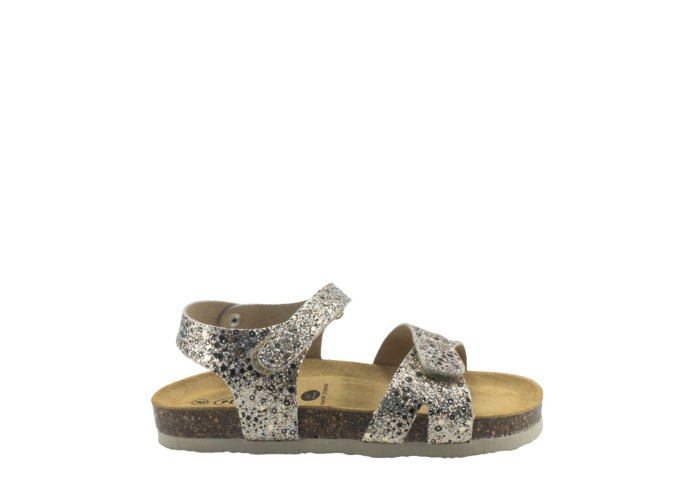 PLAKTON 135637  ORO