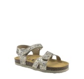 PLAKTON 135637  ORO