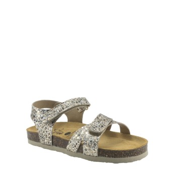 PLAKTON 135637  ORO