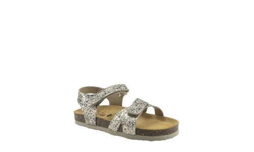 PLAKTON 135637  ORO