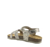PLAKTON 135637  ORO