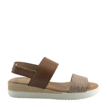 LOLA CANALES 53101  AVELLANA-TIERRA