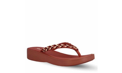 PAREX 11825032  SALMON