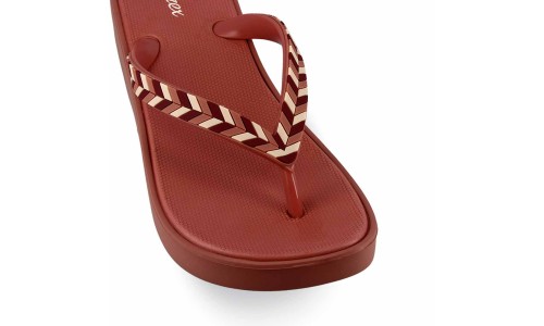 PAREX 11825032  SALMON