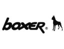 boxer